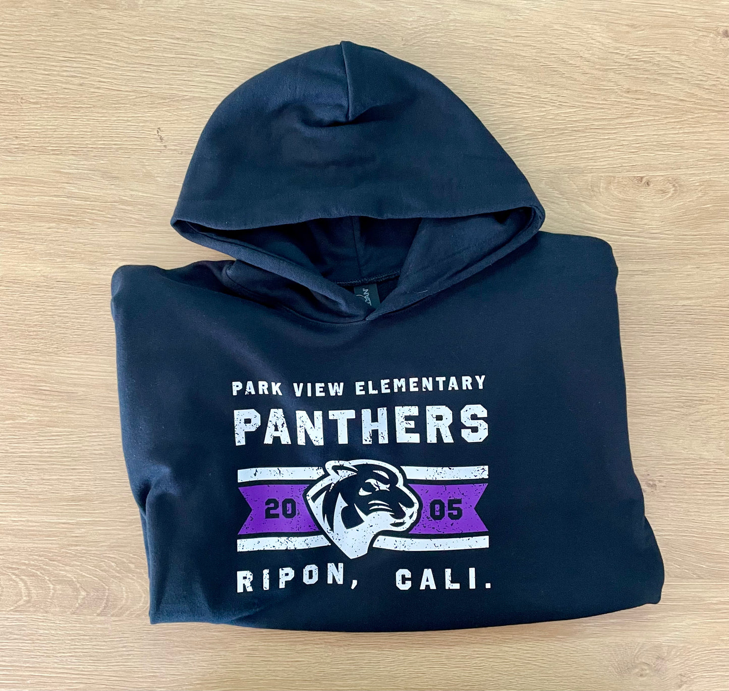 Vintage Panthers Hoodie *ONLY ONE*