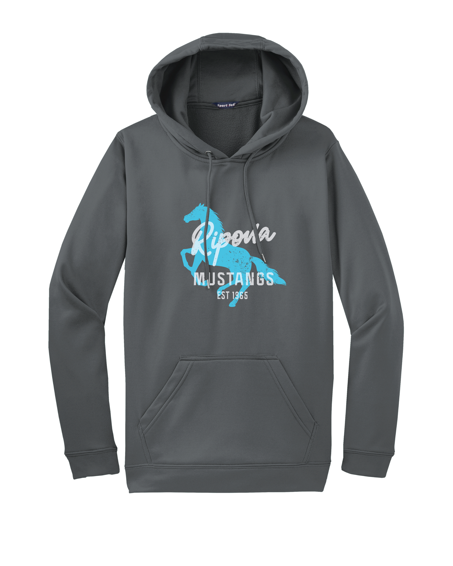 Distressed Ripona Hoodie