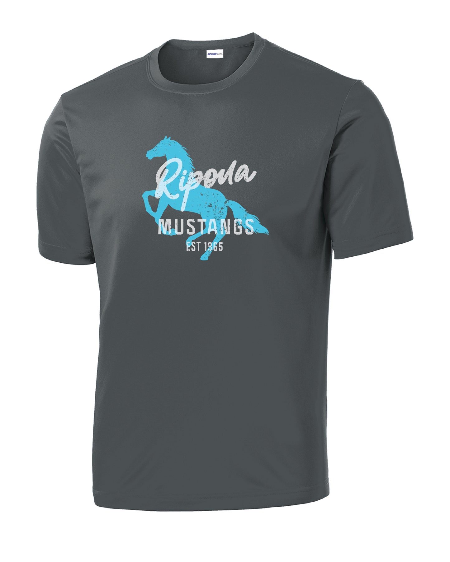 Distressed Ripona Shirt