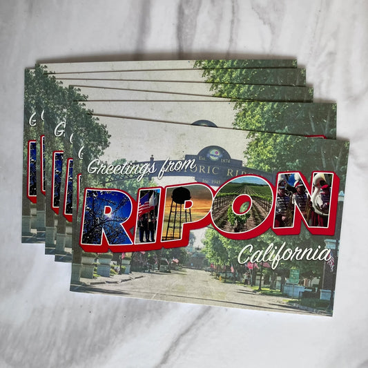 Greetings from Ripon Postcard