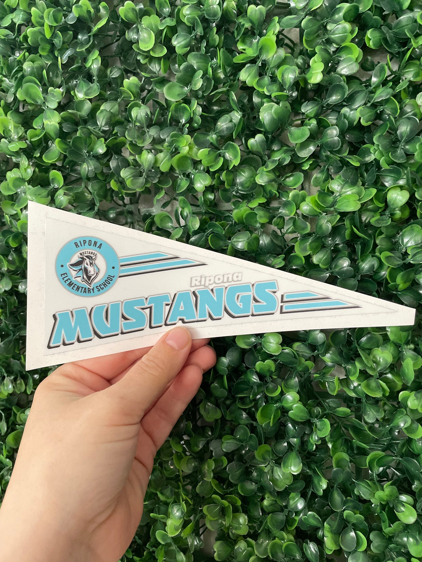 Vinyl Stickers/Car Decals