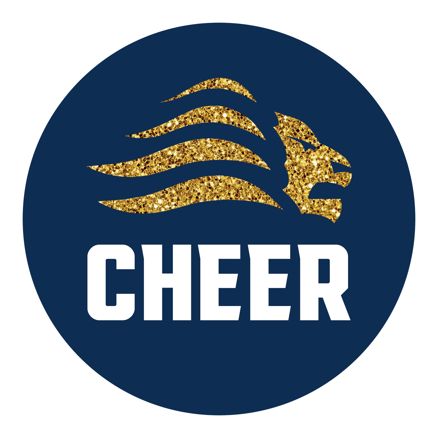 BVCS Cheer
