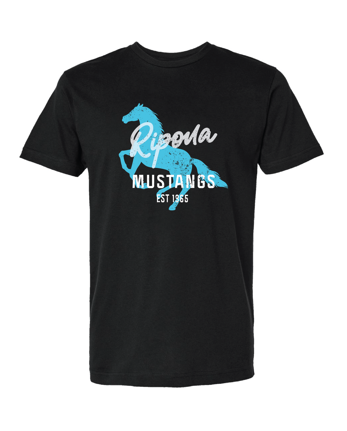 Distressed Ripona Shirt