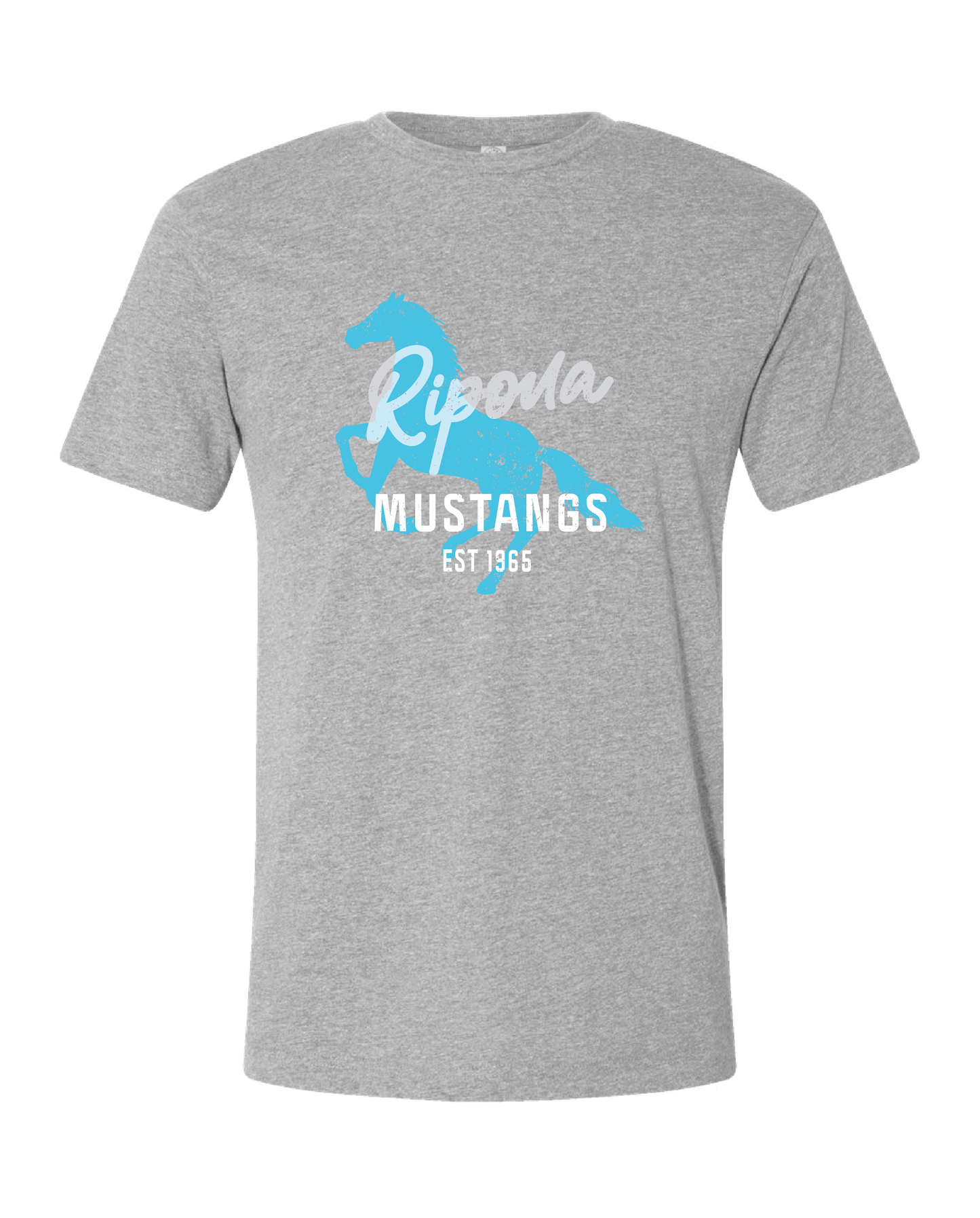 Distressed Ripona Shirt