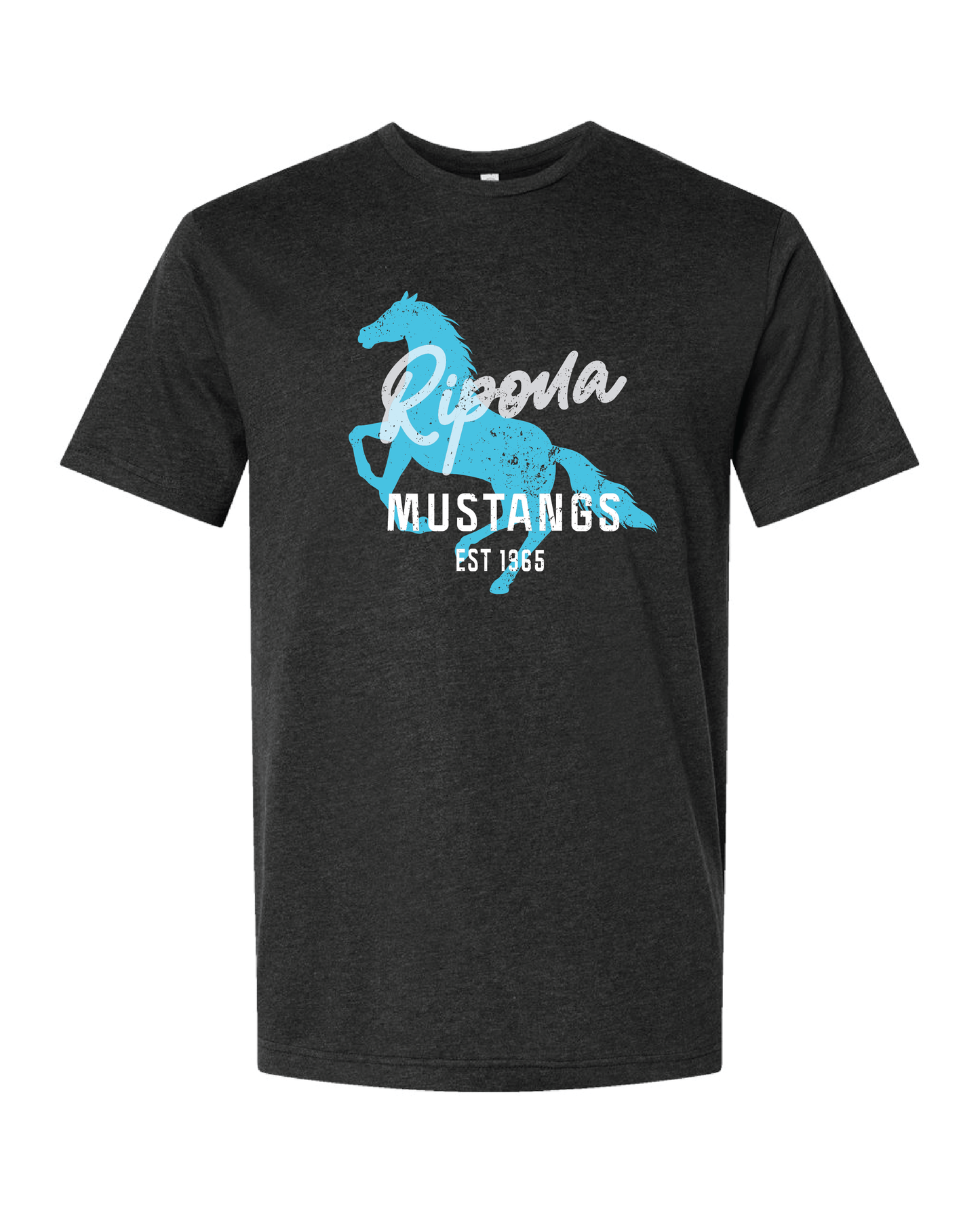 Distressed Ripona Shirt