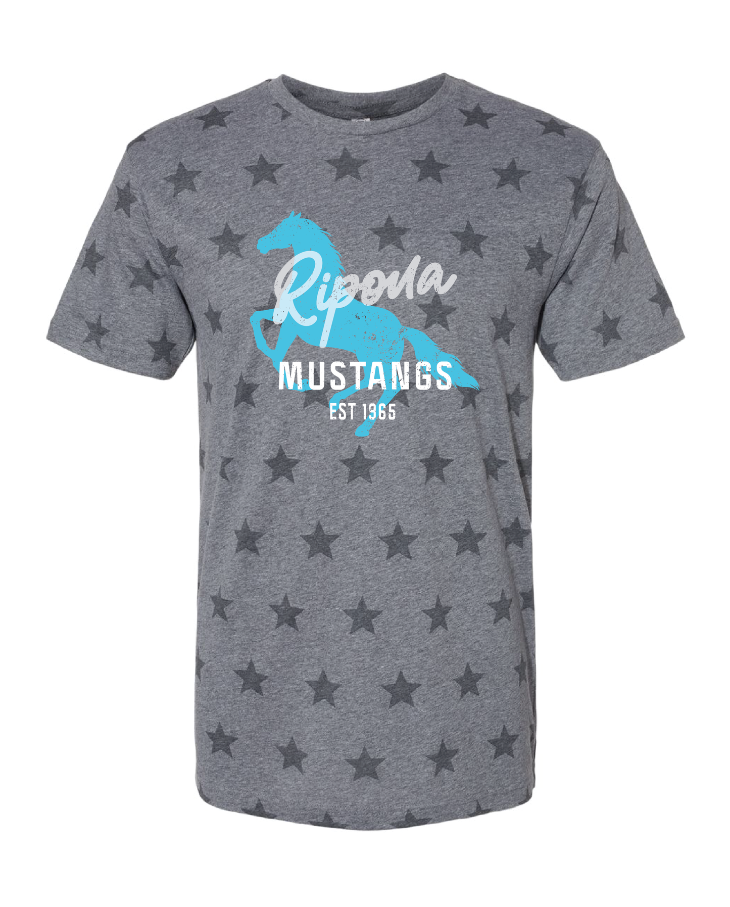 Distressed Ripona Shirt