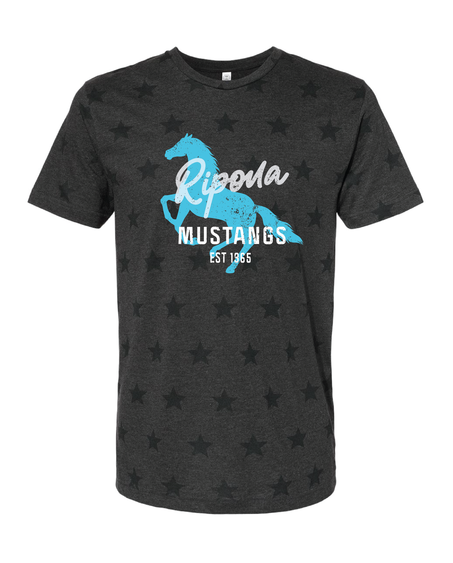 Distressed Ripona Shirt