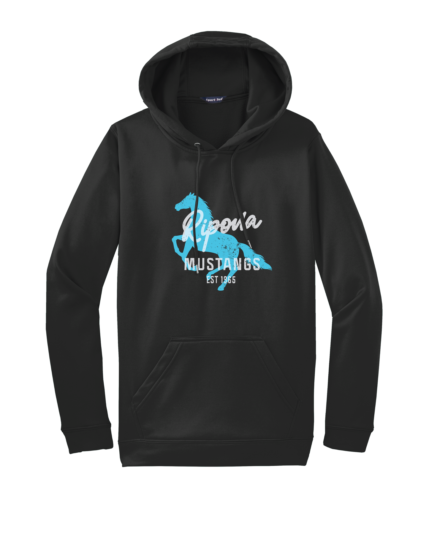 Distressed Ripona Hoodie