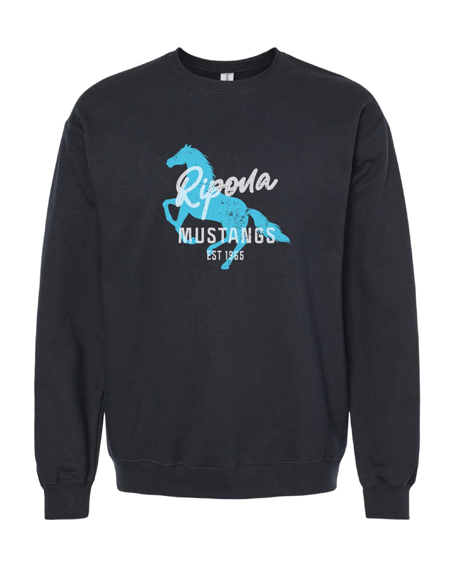 Distressed Ripona Crewneck Sweatshirt