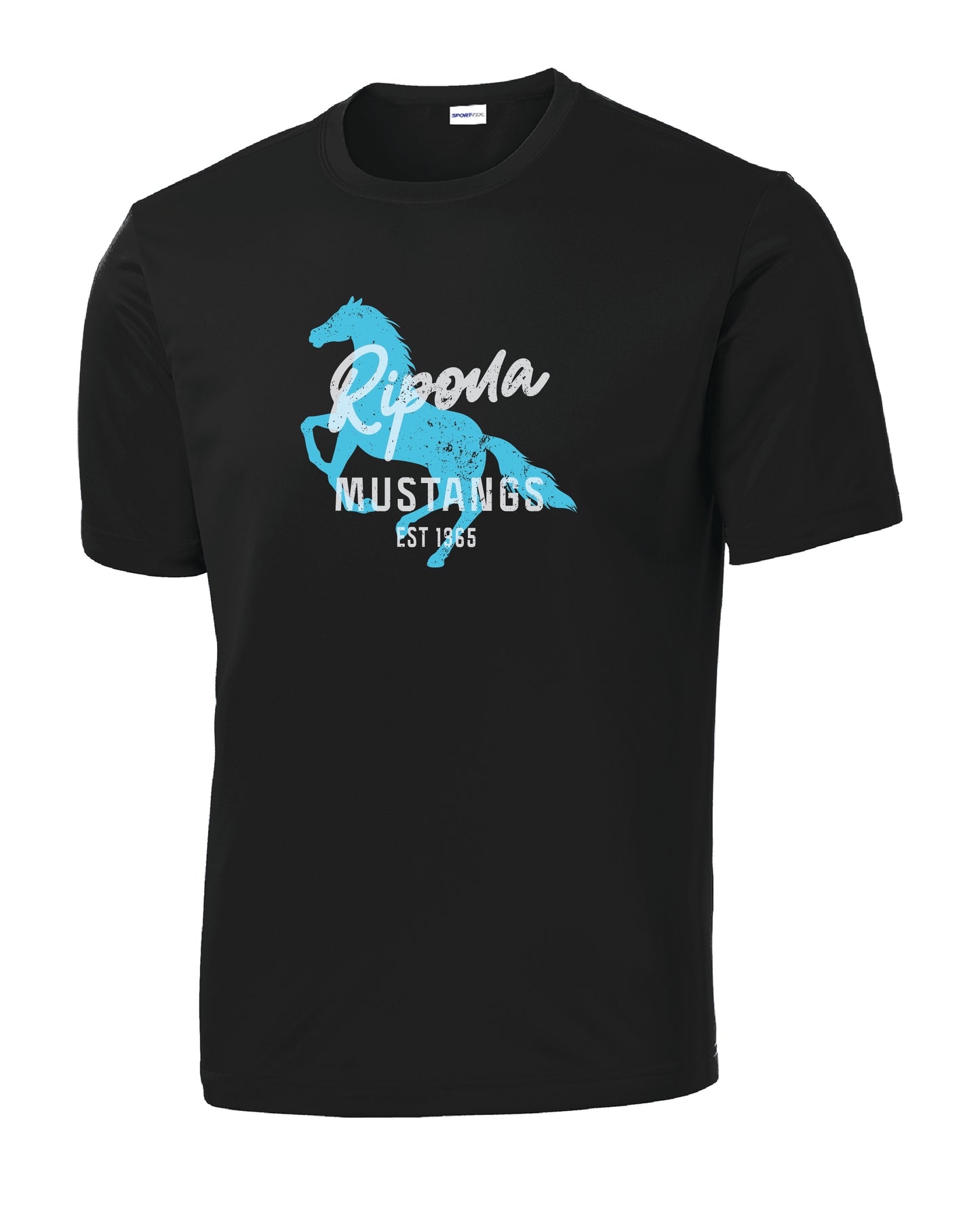 Distressed Ripona Shirt