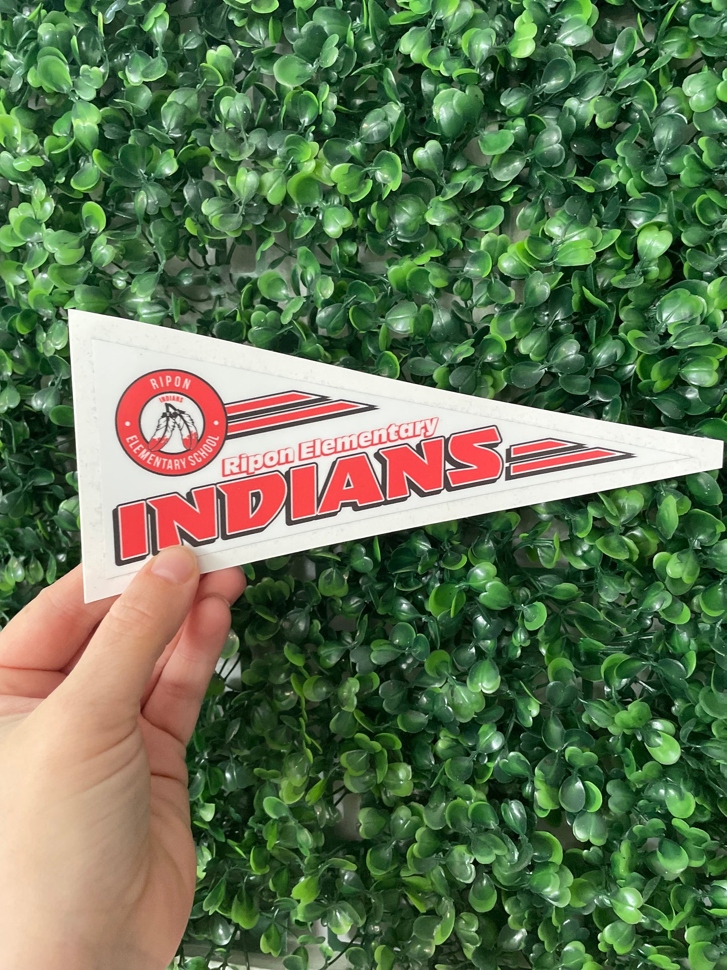 Vinyl Stickers/Car Decals